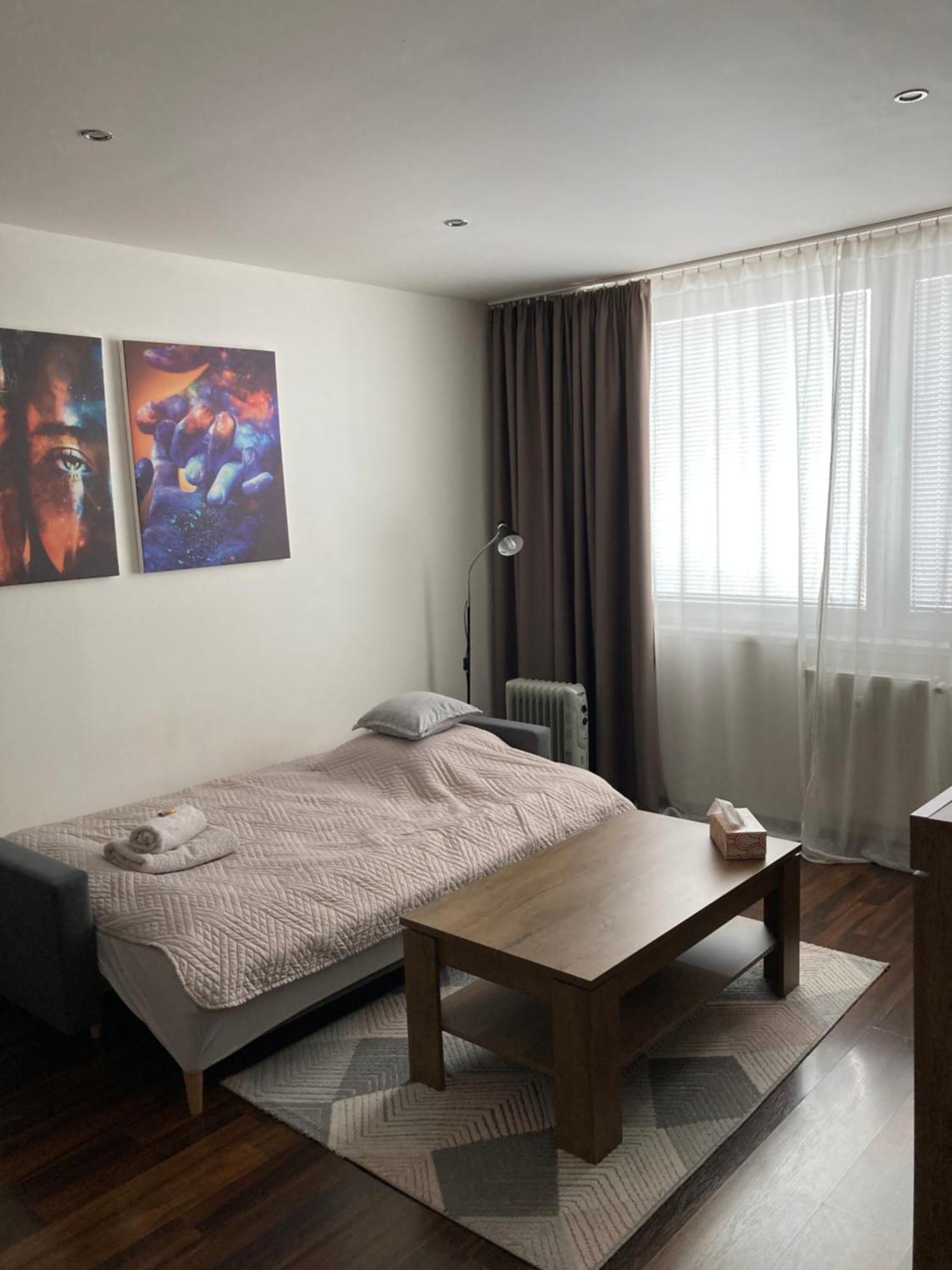 Apartman Zemplin Michalovce Exterior photo